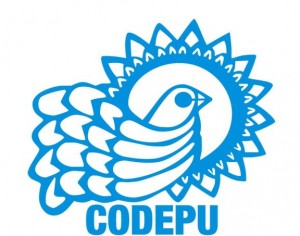 2codepu