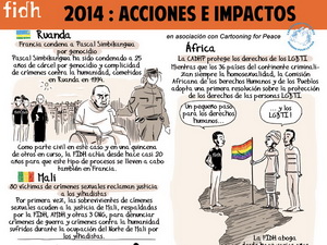 FIDH2014-CMJN-SPb