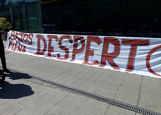 despertó